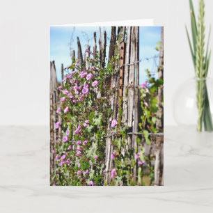 Morning Glory Flowers Scripture Card Hebrews 10:23