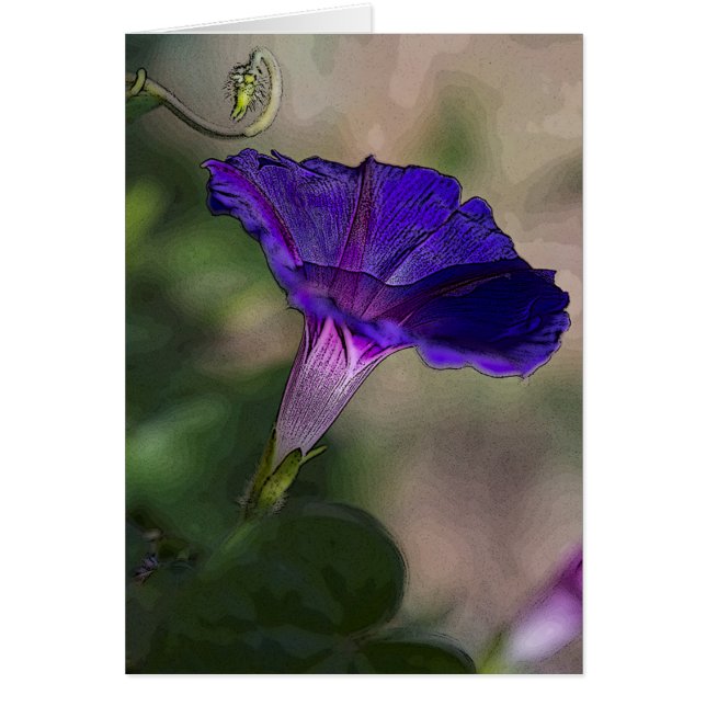 Morning Glory Greeting Card Blank (Front)