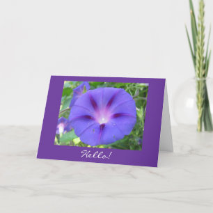 Morning Glory Hello! Card