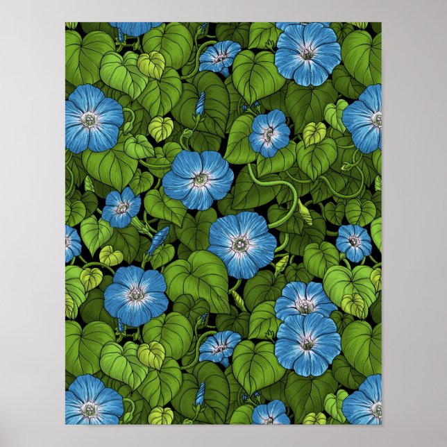Morning glory in blue and green poster (Front)