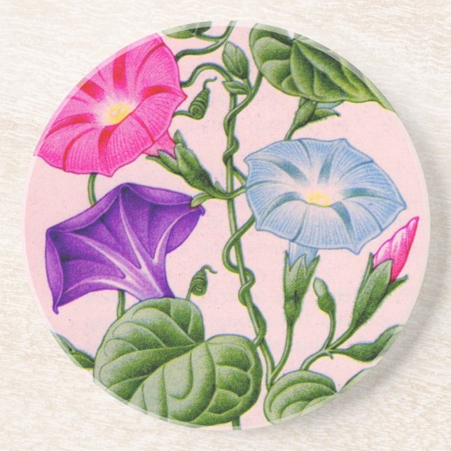 morning glory in blue and pink coaster (Front)