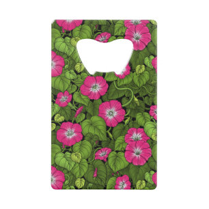 Morning glory in pink and green