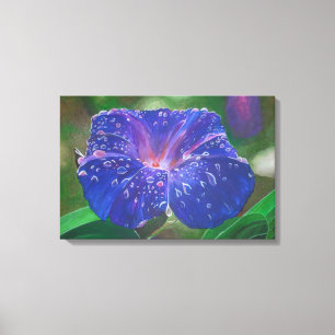 Morning Glory (Ipomoea Purpurea) Petals and Dew Dr Canvas Print
