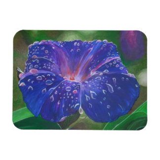 Morning Glory (Ipomoea Purpurea) Petals and Dew Dr Magnet