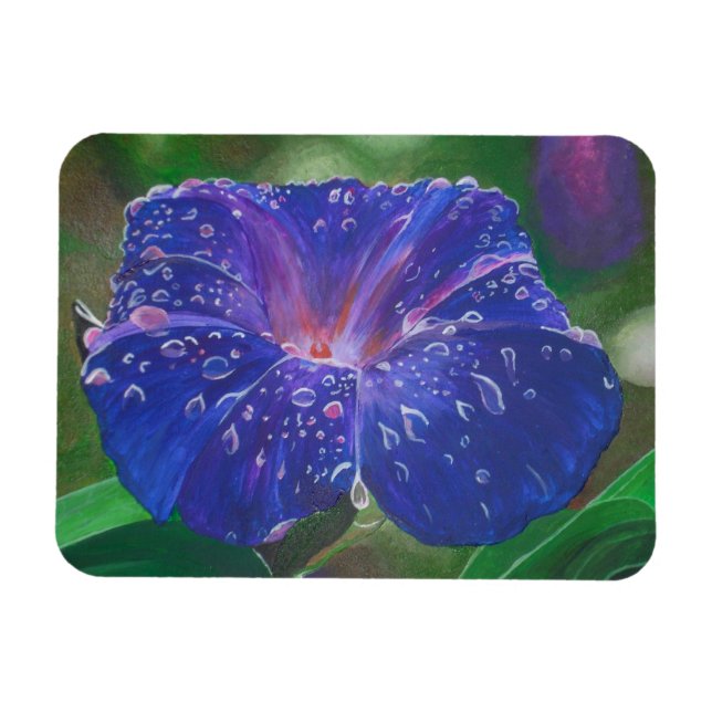 Morning Glory (Ipomoea Purpurea) Petals and Dew Dr Magnet (Horizontal)