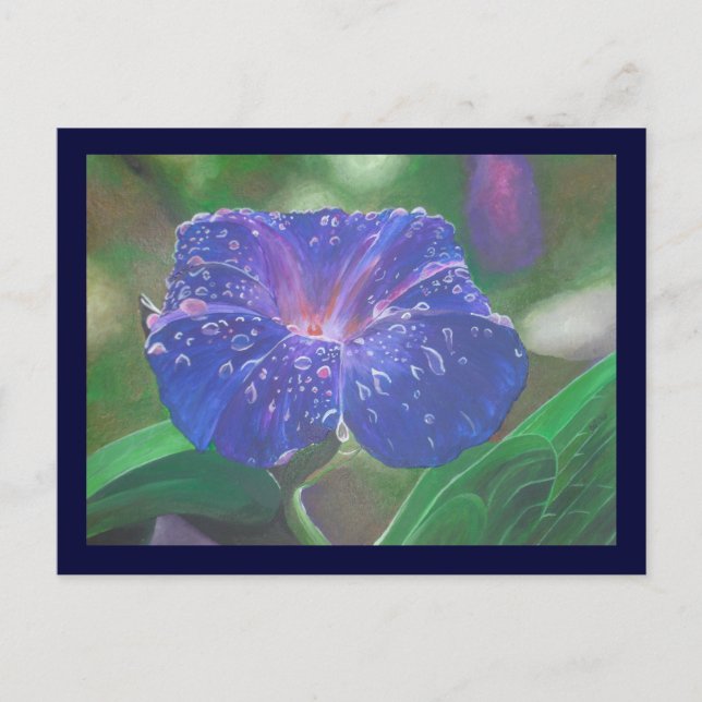 Morning Glory (Ipomoea Purpurea) Petals and Dew Dr Postcard (Front)