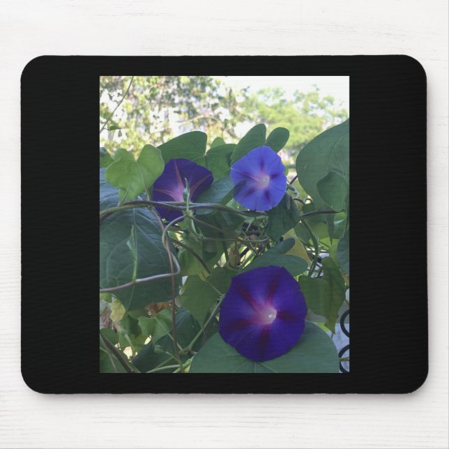 Morning Glory Kaleidoscope Mouse Mat (Front)
