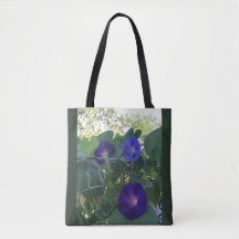 Morning Glory Kaleidoscope 