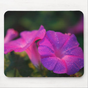 Morning Glory Mousepad