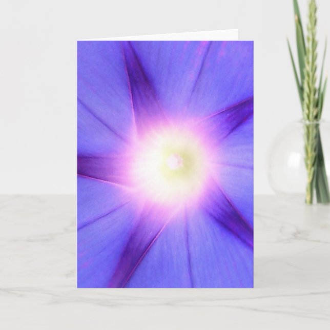 Morning Glory note card (Front)