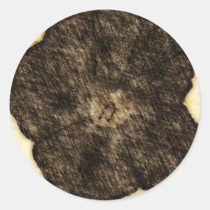 Morning Glory Old Time Sketch Classic Round Sticker