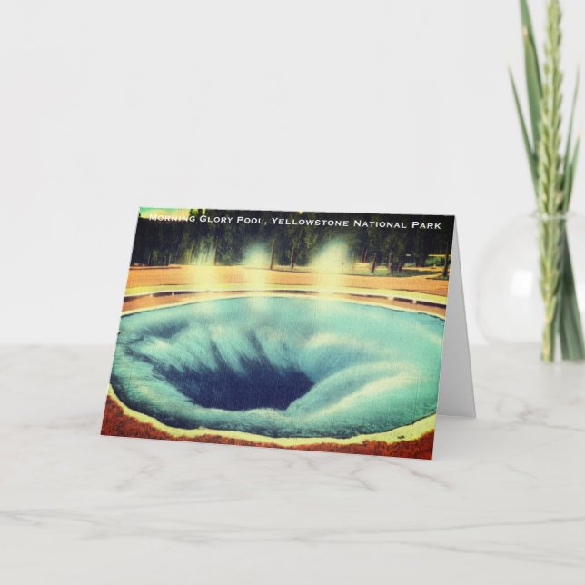 Morning Glory Pool, Yellowstone National Park Thank You Card (Front)