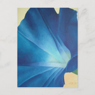 Morning Glory Postcard