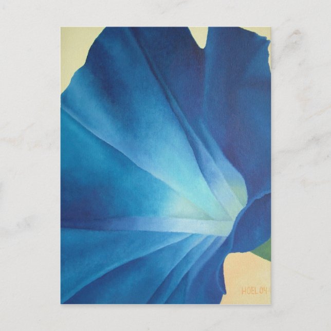 Morning Glory Postcard (Front)