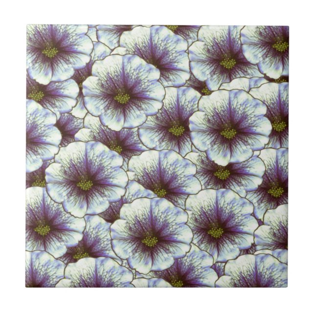 Morning Glory Purple and White Tile (Front)