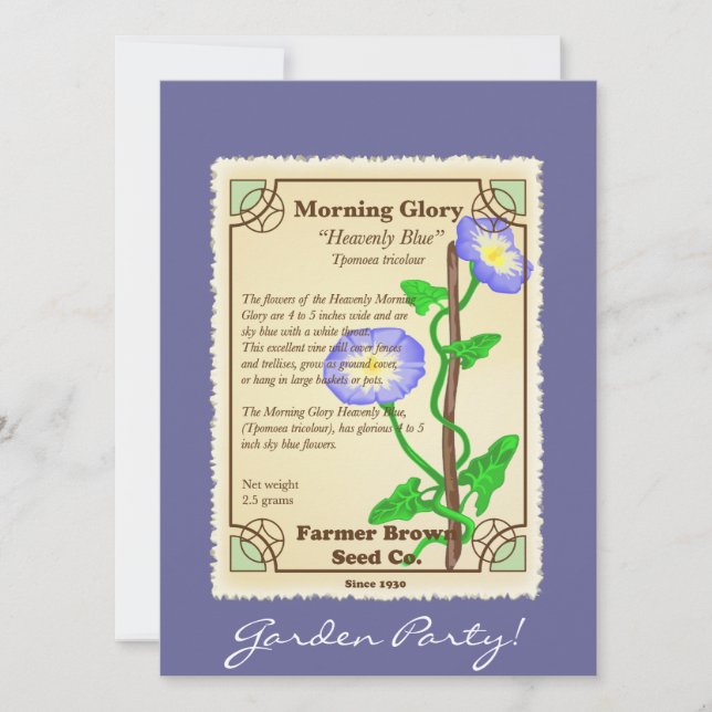 Morning Glory Seed Packet (Front)