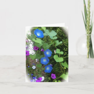 Morning Glory Summer Blooms Blank Greeting Card