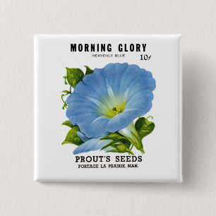 Morning Glory Vintage Seed Packet 15 Cm Square Badge