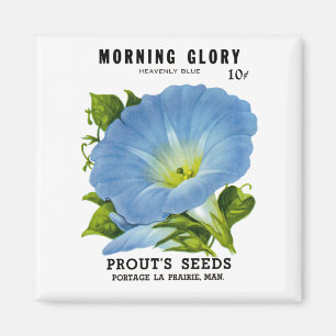 Morning Glory Vintage Seed Packet Magnet