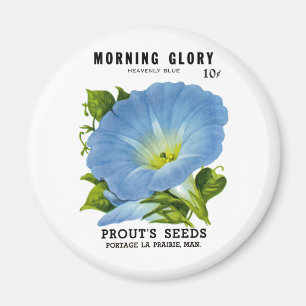 Morning Glory Vintage Seed Packet Magnet