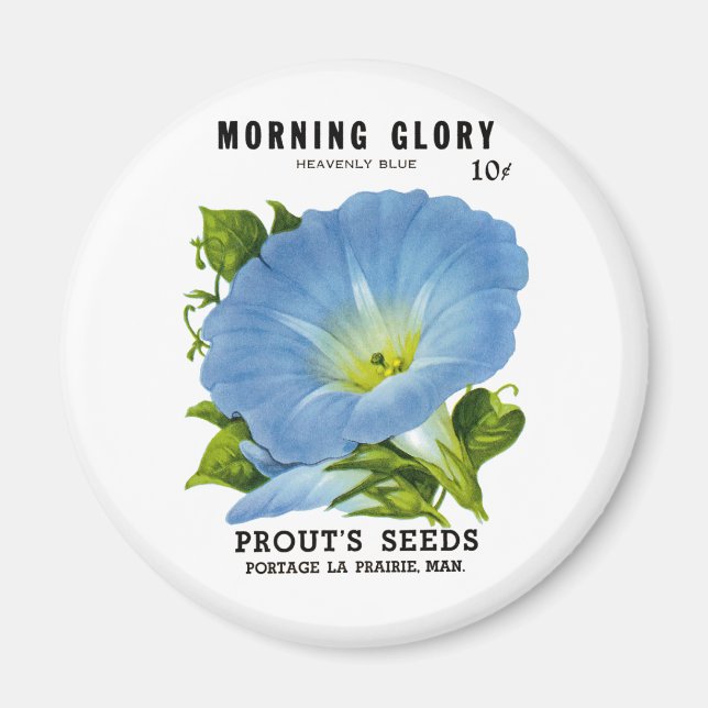 Morning Glory Vintage Seed Packet Magnet (Front)