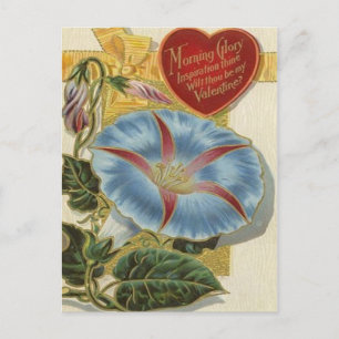 Morning Glory VIntage Valentine Holiday Postcard
