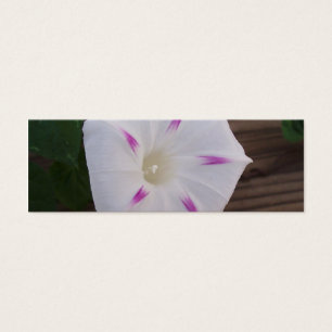 Morning Glory White Bookmark