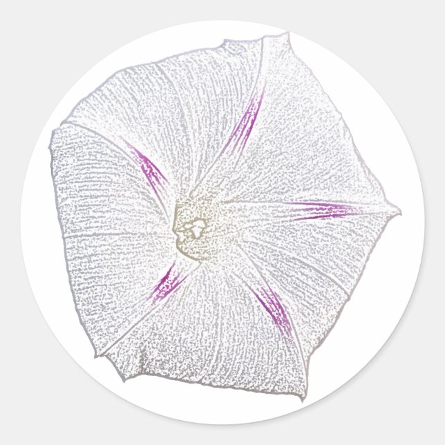 Morning Glory White Classic Round Sticker (Front)