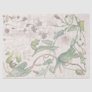Morning Glory Wildflower Flowers Tissue Paper