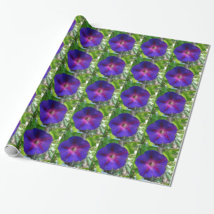 Morning Glory Wrapping Paper
