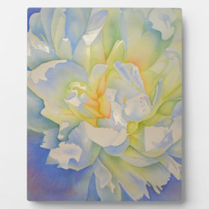 Morning Glow   white peony watercolor painting Plaque