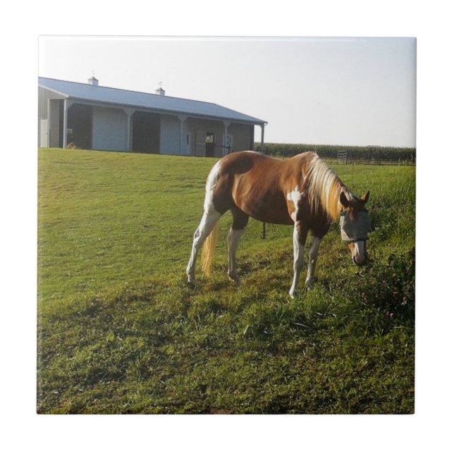 Morning Graze Tile (Front)