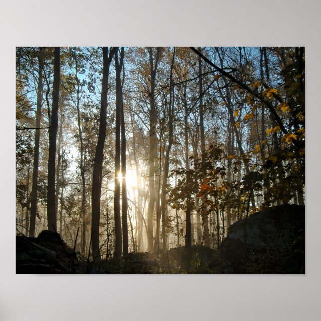Morning in the Pennsylvania Woods Poster (Front)
