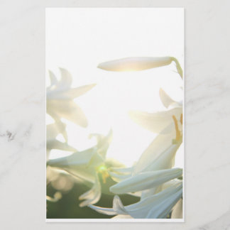 Morning Joy Stationary Stationery