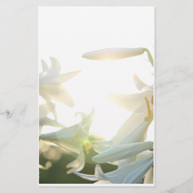 Morning Joy Stationary Stationery (Front)