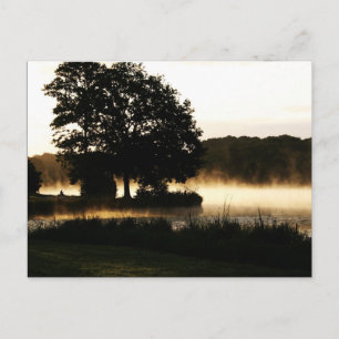 Morning Lake Scene pcm Postcard