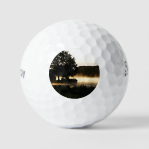 Morning Lake Scene ssf gbcnm Golf Balls