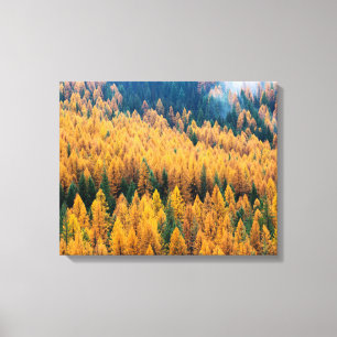 Morning Light at the Beach   Tybee Island Canvas Print