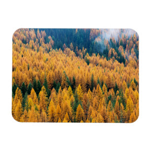 Morning Light at the Beach Tybee Island Magnet