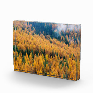Morning Light at the Beach Tybee Island Photo Block