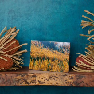 Morning Light at the Beach Tybee Island Plaque