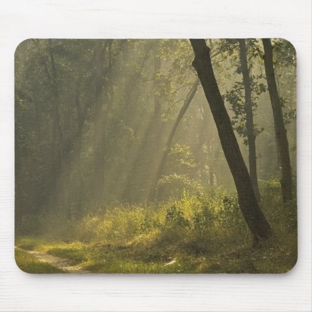 Morning light beams through trees in jungle mouse mat (Front)