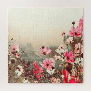 Morning light, blooming pink cosmos. jigsaw puzzle
