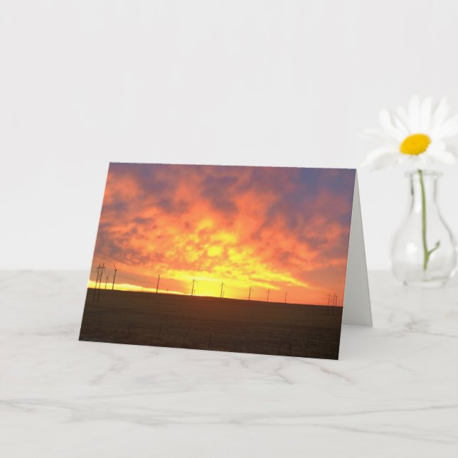 Morning Light Card (Small Plant)