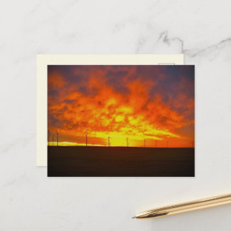 Morning Light Postcard
