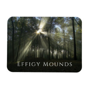 Morning Light through Trees, Effigy Mounds, Iowa Magnet