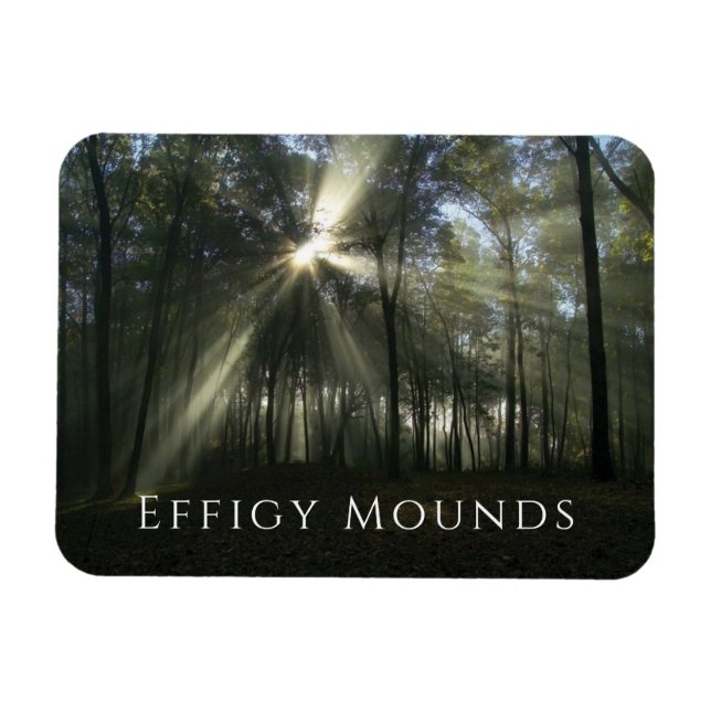 Morning Light through Trees, Effigy Mounds, Iowa Magnet (Horizontal)