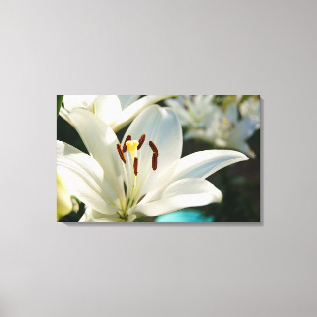 Morning Lily Canvas Print (Front)