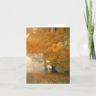 Morning Mail Note Card
