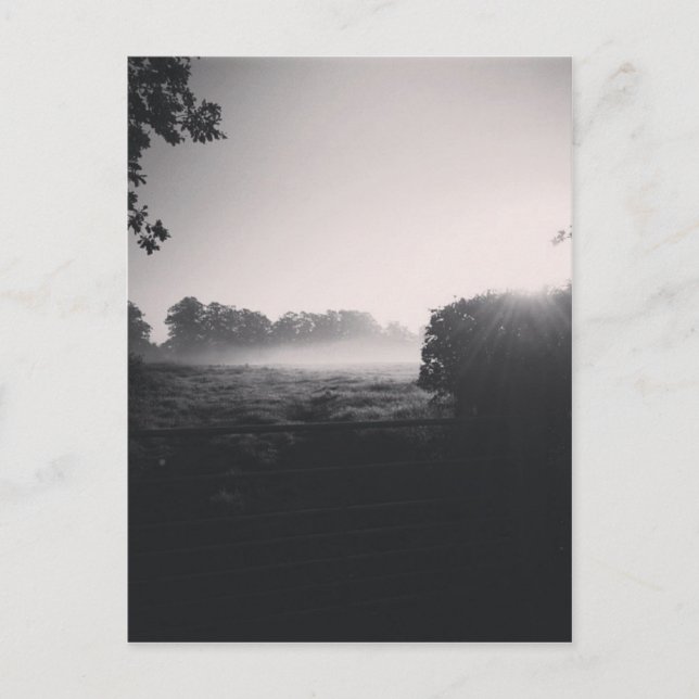 Morning mist and low sun on the field when droppib postcard (Front)